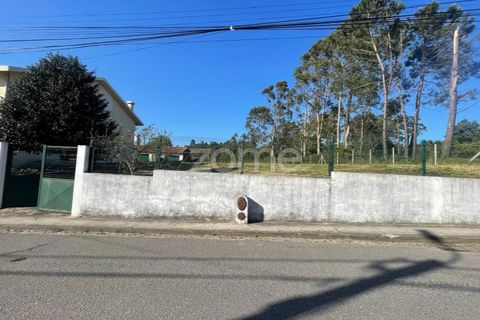 Terra a Silvalde, Aveiro, Silvalde - € 170.000 | Ref: ZMPT576416 - foto 4