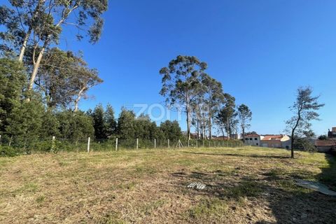 Terra a Silvalde, Aveiro, Silvalde - € 170.000 | Ref: ZMPT576416 - foto 5