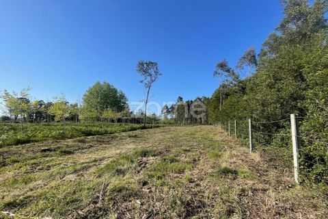 Terra a Silvalde, Aveiro, Silvalde - € 170.000 | Ref: ZMPT576416 - foto 6