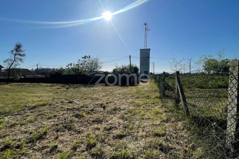Terra a Silvalde, Aveiro, Silvalde - € 170.000 | Ref: ZMPT576416 - foto 7