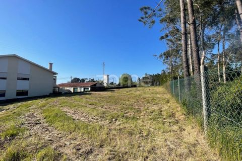 Terra a Silvalde, Aveiro, Silvalde - € 170.000 | Ref: ZMPT576416 - foto 8