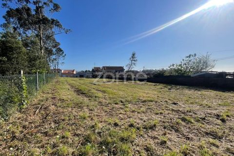 Terra a Silvalde, Aveiro, Silvalde - € 170.000 | Ref: ZMPT576416 - foto 9