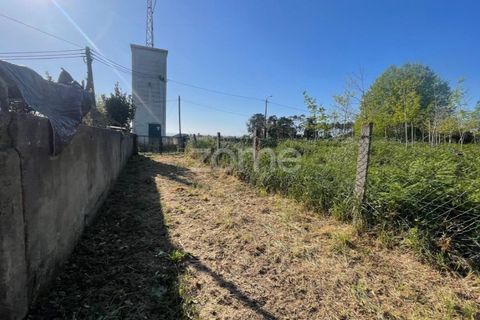 Terra a Silvalde, Aveiro, Silvalde - € 170.000 | Ref: ZMPT576416 - foto 10