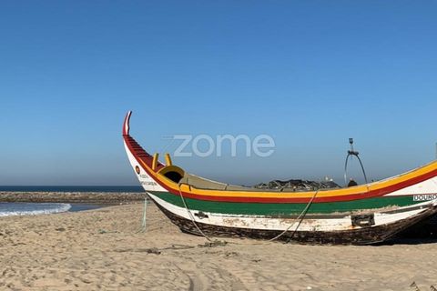 Terra a Silvalde, Aveiro, Silvalde - € 170.000 | Ref: ZMPT576416 - foto 11
