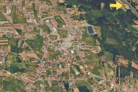Terra a Silvalde, Aveiro, Silvalde - € 170.000 | Ref: ZMPT576416 - foto 13