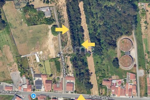Terra a Silvalde, Aveiro, Silvalde - € 170.000 | Ref: ZMPT576416 - foto 14