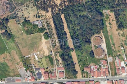 Terra a Silvalde, Aveiro, Silvalde - € 170.000 | Ref: ZMPT576416 - foto 16