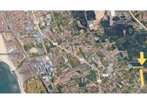 Terra a Silvalde, Aveiro, Silvalde - € 170.000 | Ref: ZMPT576416 - foto 21