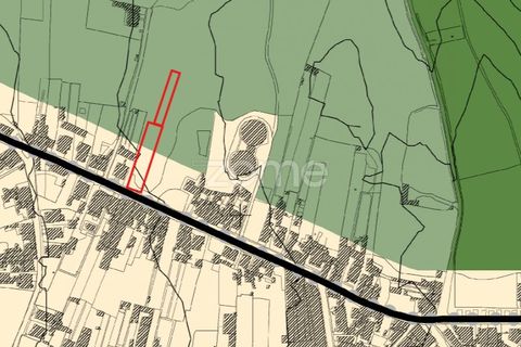 Terra a Silvalde, Aveiro, Silvalde - € 170.000 | Ref: ZMPT576416 - foto 23