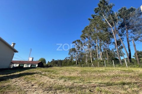 Terreno en Silvalde, Aveiro, Silvalde - € 170.000 | Ref: ZMPT576416 - photo 13