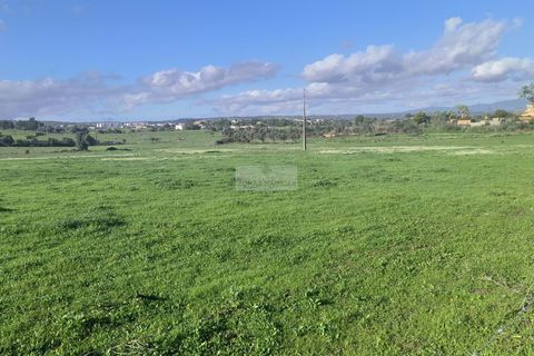 Helårsgrund i Lagos, Faro, Lagos - € 2.250.000 | Ref: R0009 - foto 19