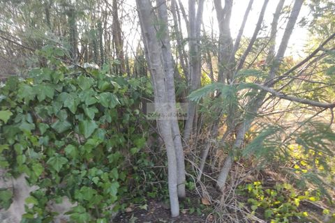 Ruinere i Lagos, Faro, Lagos - € 475.000 | Ref: R0019 - foto 7