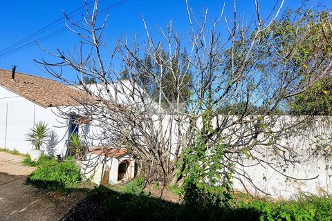 Farm hus i Lagos, Faro, Lagos - € 885.000 | Ref: Q0039 - foto 3