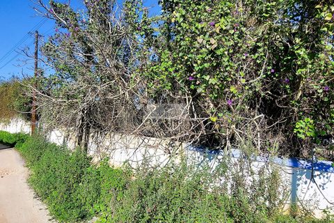 Farm hus i Lagos, Faro, Lagos - € 885.000 | Ref: Q0039 - foto 4