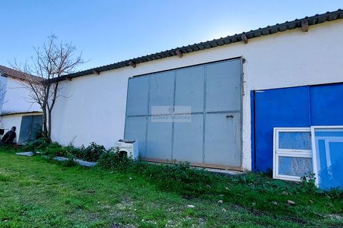 Farm hus i Lagos, Faro, Lagos - € 885.000 | Ref: Q0039 - foto 13