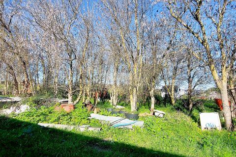Farm hus i Lagos, Faro, Lagos - € 885.000 | Ref: Q0039 - foto 16