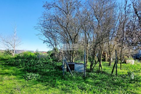 Farm hus i Lagos, Faro, Lagos - € 885.000 | Ref: Q0039 - foto 17