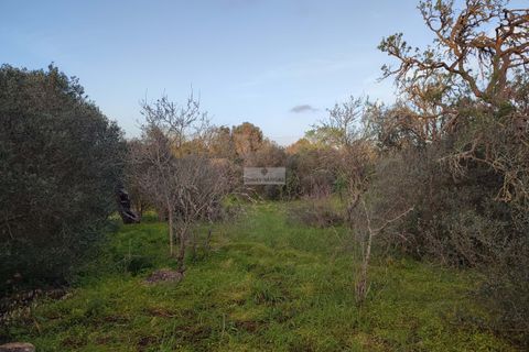 Ruinere i Lagos, Faro, Lagos - € 950.000 | Ref: Q0041 - foto 9