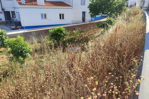 Terra a Sagres, Faro, Sagres - € 105.000 | Ref: T0277 - foto 5