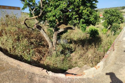 Terra a Sagres, Faro, Sagres - € 105.000 | Ref: T0277 - foto 6