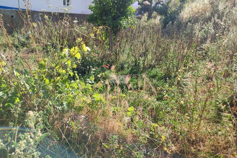 Terra a Sagres, Faro, Sagres - € 105.000 | Ref: T0277 - foto 8