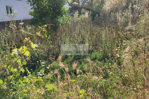 Terra a Sagres, Faro, Sagres - € 105.000 | Ref: T0277 - foto 9