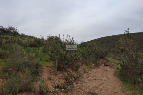 Farm hus i Lagos, Faro, Lagos - € 1.490.000 | Ref: R0045 - foto 6