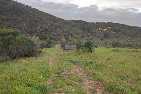 Farm hus i Lagos, Faro, Lagos - € 1.490.000 | Ref: R0045 - foto 7