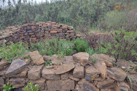 Farm hus i Lagos, Faro, Lagos - € 1.490.000 | Ref: R0045 - foto 14