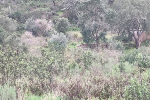 Farm hus i Lagos, Faro, Lagos - € 1.490.000 | Ref: R0045 - foto 19