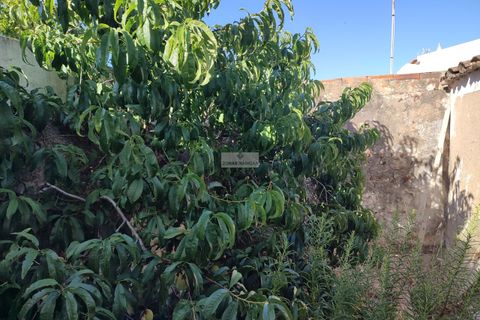 Villa i Sagres, Faro, Sagres - € 500.000 | Ref: M0211 - foto 2