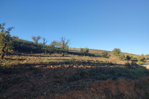 Terra a Sagres, Faro, Sagres - € 300.000 | Ref: T0362 - foto 3