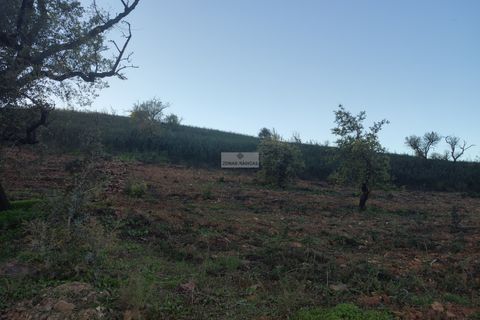 Terra a Sagres, Faro, Sagres - € 300.000 | Ref: T0362 - foto 7