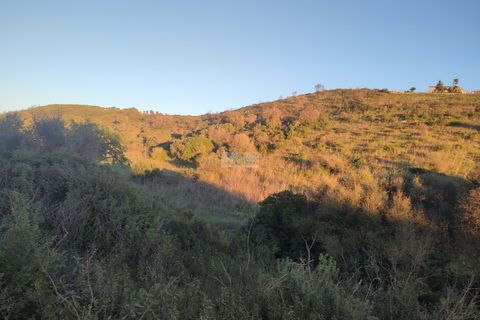 Terra a Sagres, Faro, Sagres - € 300.000 | Ref: T0362 - foto 9