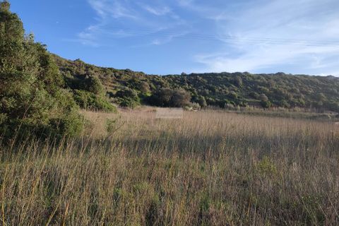 Tomt i Sagres, Faro, Sagres - € 100 000 | Ref: T0366 - foto 7