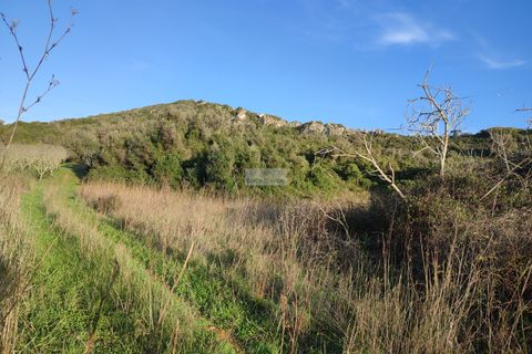 Tomt i Sagres, Faro, Sagres - € 100 000 | Ref: T0366 - foto 9