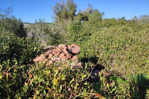 Tomt i Sagres, Faro, Sagres - € 100 000 | Ref: T0366 - foto 11