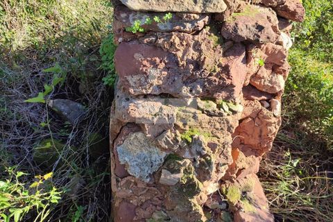 Tomt i Sagres, Faro, Sagres - € 100 000 | Ref: T0366 - foto 14
