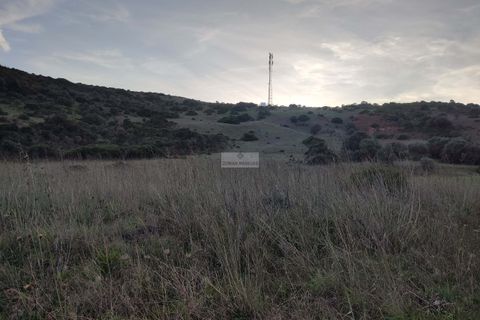 Terra a Sagres, Faro, Sagres - € 100.000 | Ref: T0334 - foto 3