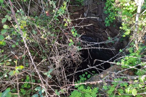 Terra a Sagres, Faro, Sagres - € 100.000 | Ref: T0334 - foto 4