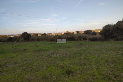 Terra a Sagres, Faro, Sagres - € 100.000 | Ref: T0334 - foto 5