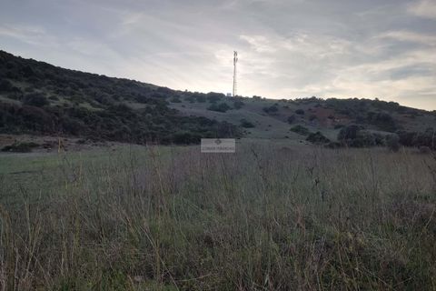Terra a Sagres, Faro, Sagres - € 100.000 | Ref: T0334 - foto 6