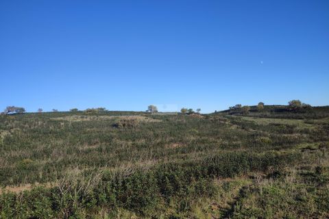 Terra a Sagres, Faro, Sagres - € 150.000 | Ref: T0363 - foto 2
