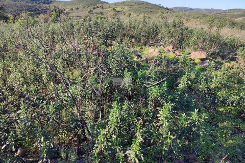 Terra a Sagres, Faro, Sagres - € 150.000 | Ref: T0363 - foto 3