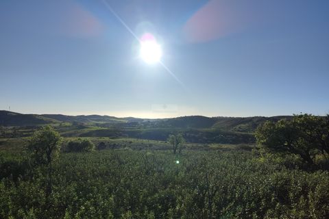Terra a Sagres, Faro, Sagres - € 150.000 | Ref: T0363 - foto 4