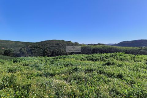 Helårsgrund i Lagos, Faro, Lagos - € 850.000 | Ref: H0016 - foto 16