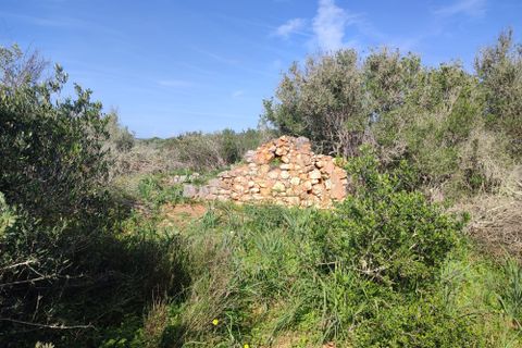 Terra a Sagres, Faro, Sagres - € 99.000 | Ref: T0379 - foto 2