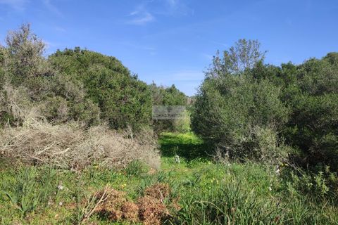Terra a Sagres, Faro, Sagres - € 99.000 | Ref: T0379 - foto 3