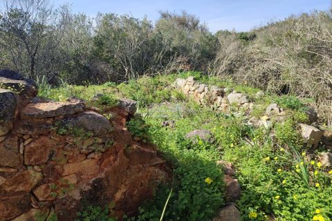 Terra a Sagres, Faro, Sagres - € 99.000 | Ref: T0379 - foto 5