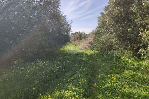 Terra a Sagres, Faro, Sagres - € 99.000 | Ref: T0379 - foto 6